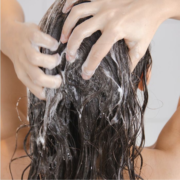 Nutri Care Shampoo Mango und Avocado
